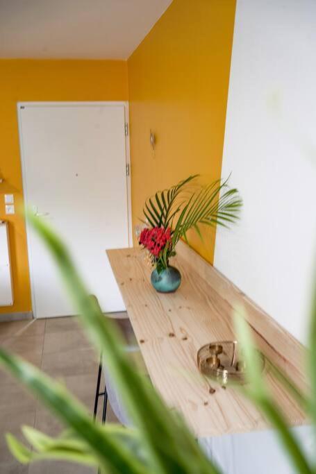 Le Marie-Agnes Appartement Neuf De Standing Fort-de-France Exteriör bild